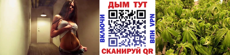 A-PVP Вологда